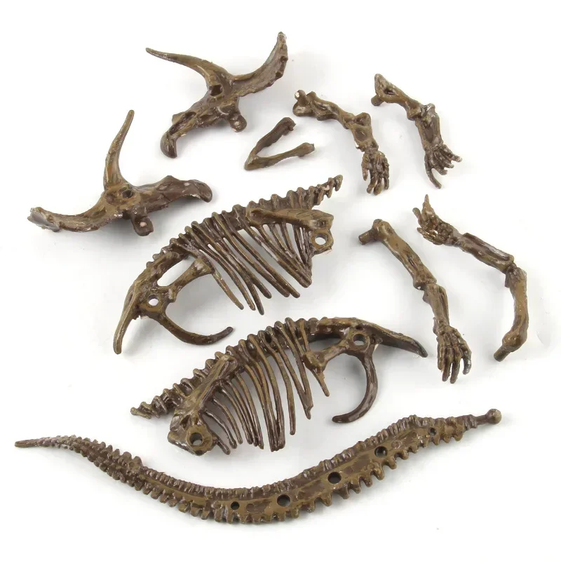 Zabawka edukacyjna i naukowa d – Model Kit Dinosaur recenzja i cena
