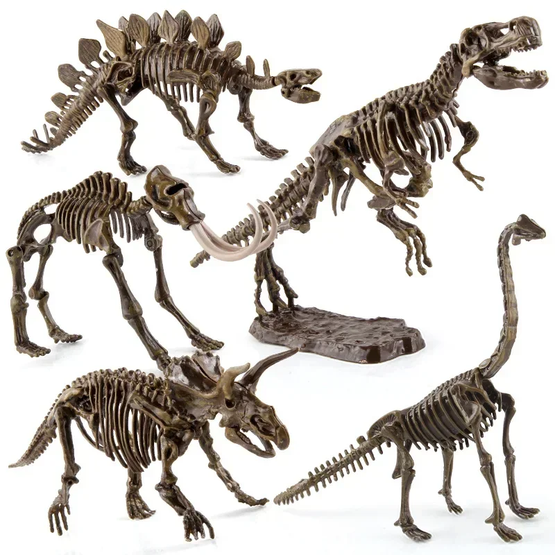 Zabawka edukacyjna i naukowa d – Model Kit Dinosaur recenzja i cena