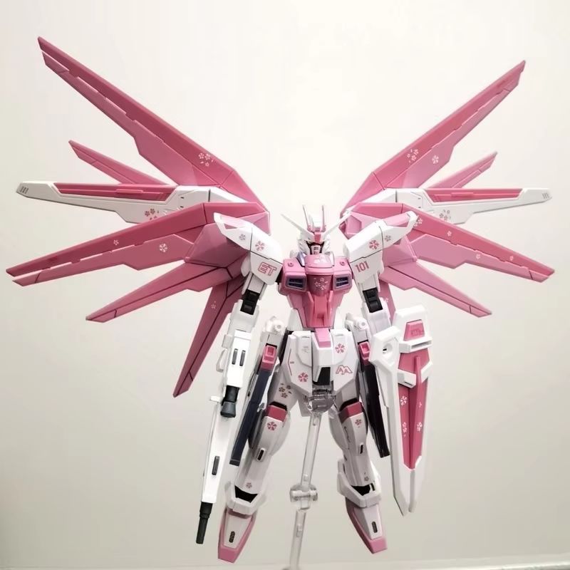 JMS HG 1/144 ZY-06 Freedom Ass – Model Kit Kshatriya recenzja i cena